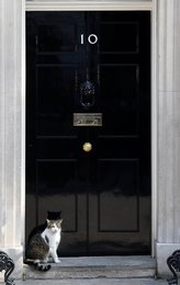 Image 436296848