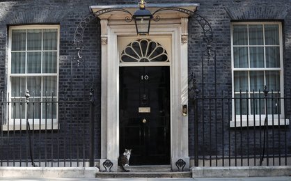 Image 436302015