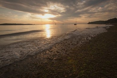 Image 436387631