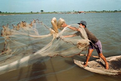 Image 436791291