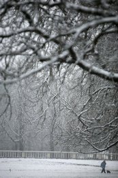 Image 436876795