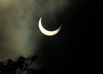 Image 436941617