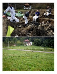 Image 436983532
