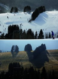 Image 436985831