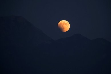 Image 437043994