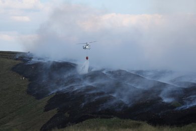 Image 437045485