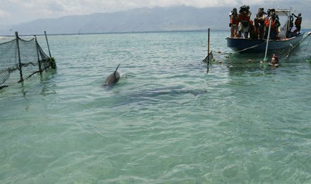 Image 437086937