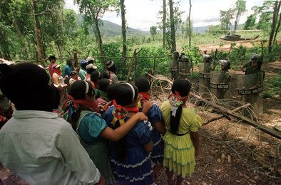 Image 437142260