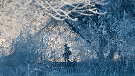 Image 437308753