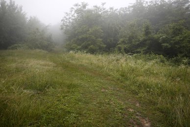Image 437326860
