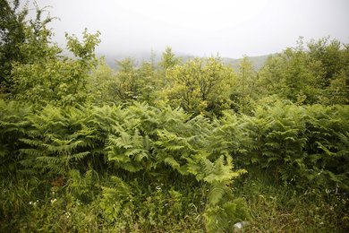 Image 437326879