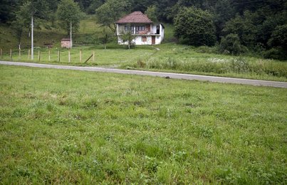 Image 437326881