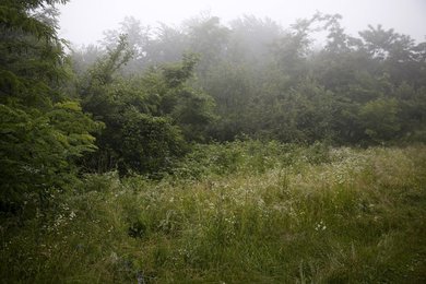 Image 437326893