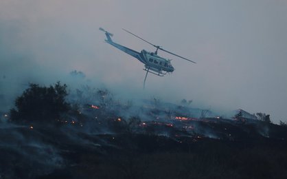 Image 437364198