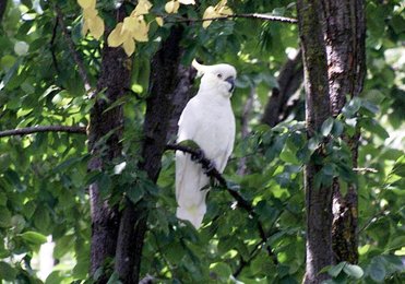 Image 437450993