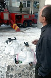 Image 437518289