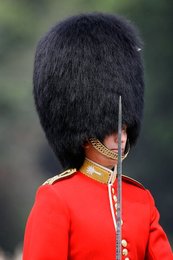 Image 437522817