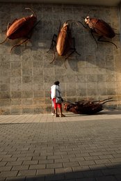 Image 437547258