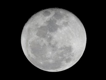 Image 437656953
