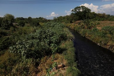 Image 437702925