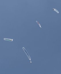 Image 437740432