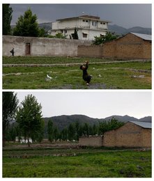 Image 437786271