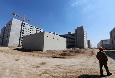Image 437956993