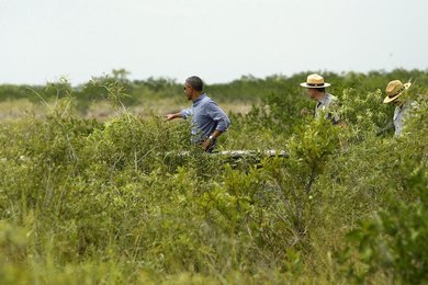 Image 438184713