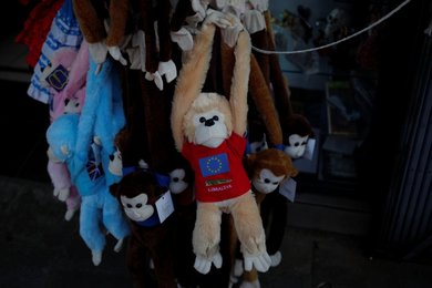 Image 438213683
