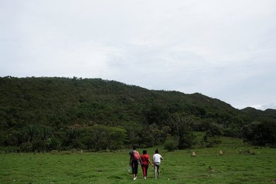 Image 438229909