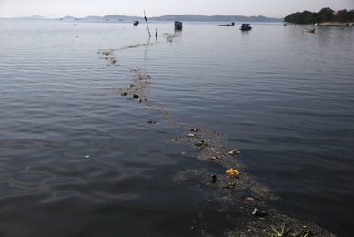Image 438239580