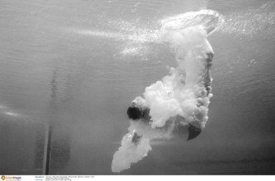 Image 438402197
