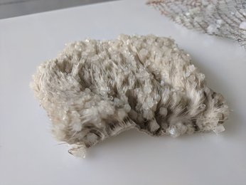 Image 438807162