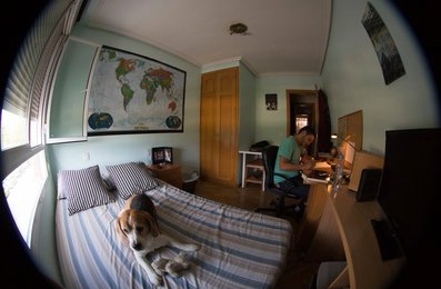 Image 438863733