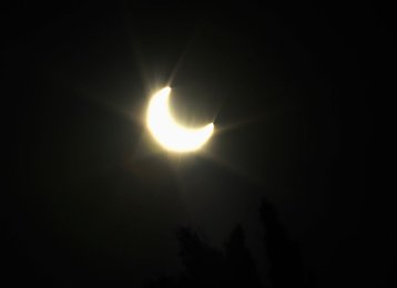 Image 438876610