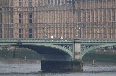 Image 438920529