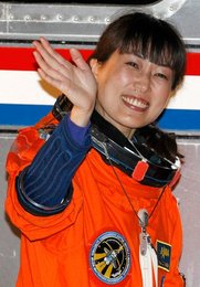 Image 439034087