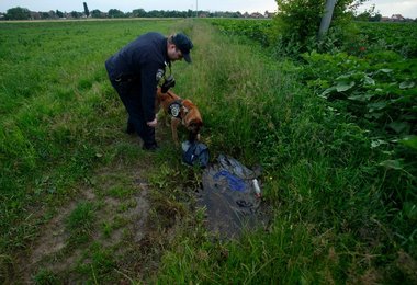 Image 439149122