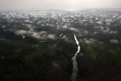 Image 439173321