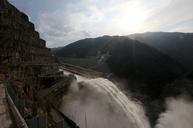 Image 439339804