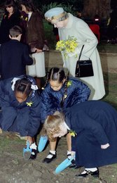 Image 439414654