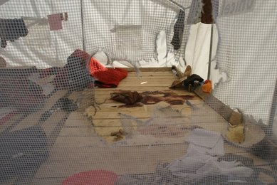 Image 439457386