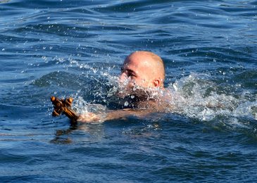 Image 439483883
