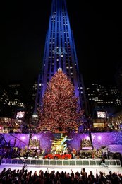 Image 439519166
