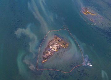 Image 439596570