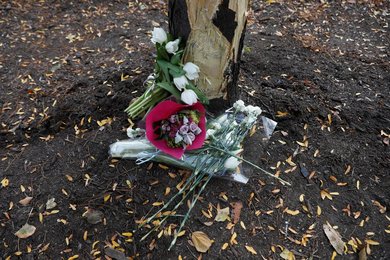 Image 439646127