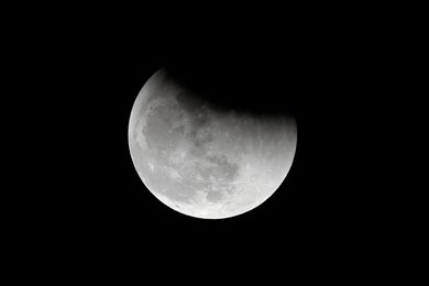 Image 439852520