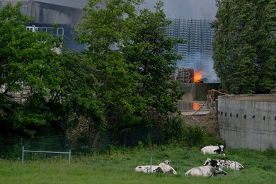 BAVIKHOVE FIRE