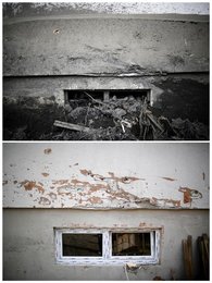 Image 439951429