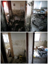 Image 439951558